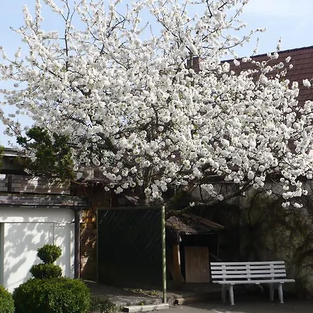 Am Birkenweg 3*